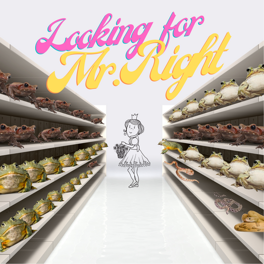 Looking for Mr. Right at AuntHill.ca